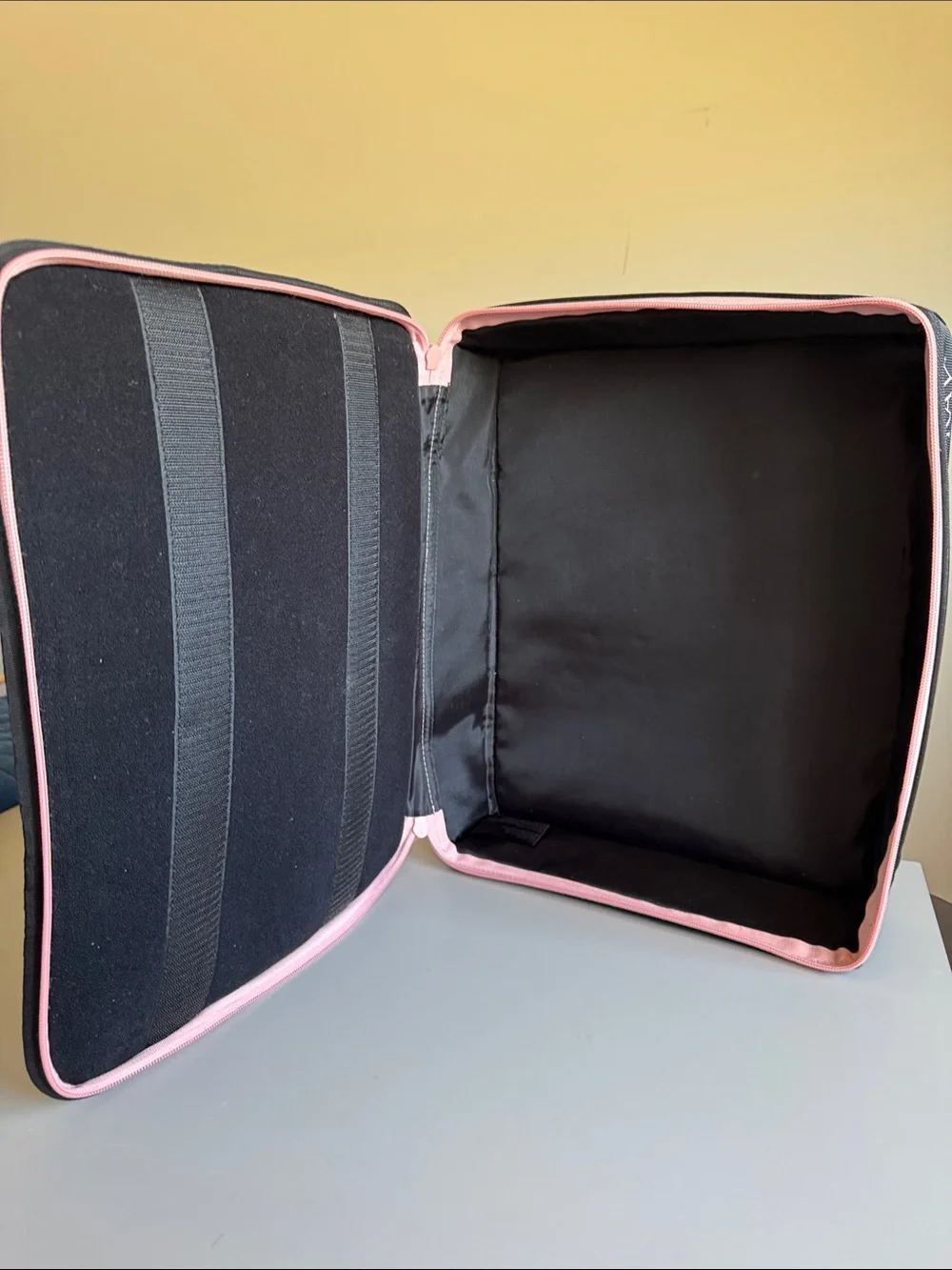 RARE Mary Kay Black & Pink Insulated Full Zip Carry Case *Empty*